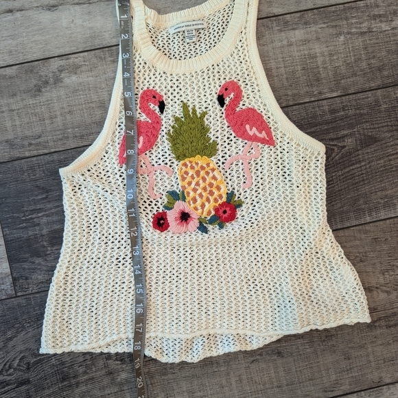 American Eagle Outfitters Cream Knit Tank with Flamingo - Picture 5 of 5